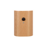 Hallway Access Wood Induction Light