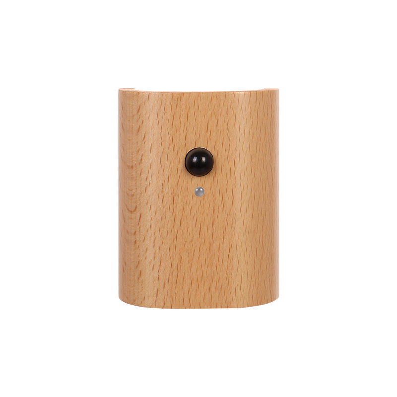 Hallway Access Wood Induction Light