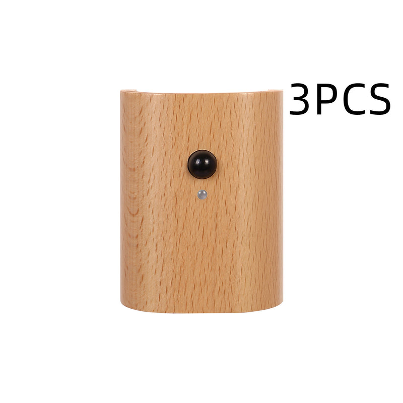 Hallway Access Wood Induction Light